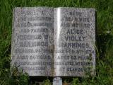 image of grave number 786797